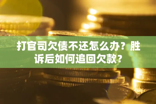 武汉打官司欠债不还怎么办？胜诉后如何追回欠款？