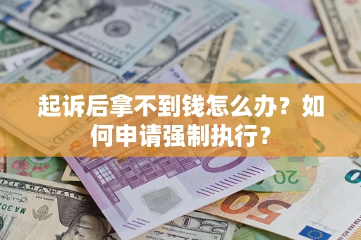 武汉起诉后拿不到钱怎么办？如何申请强制执行？