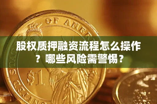 武汉股权质押融资流程怎么操作？哪些风险需警惕？