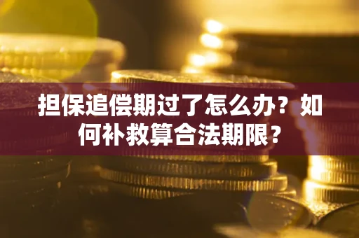 武汉担保追偿期过了怎么办？如何补救算合法期限？