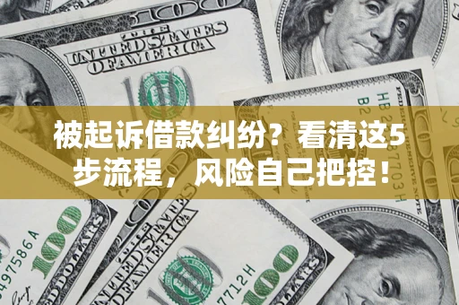 武汉被起诉借款纠纷？看清这5步流程，风险自己把控！